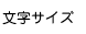文字サイズ